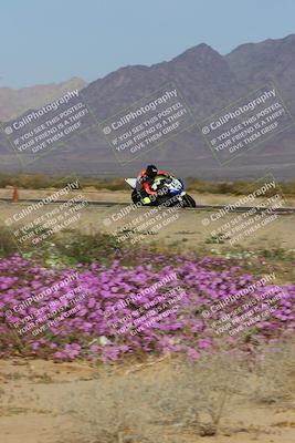 media/Feb-04-2023-SoCal Trackdays (Sat) [[8a776bf2c3]]/Turn 15 Inside Blooming (1050am)/